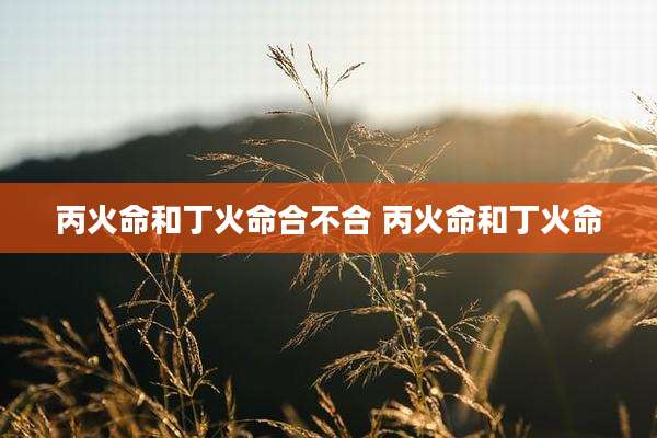 丙火命和丁火命合不合 丙火命和丁火命