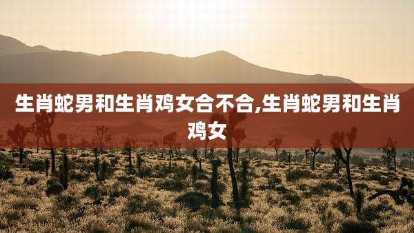 生肖蛇男和生肖鸡女合不合,生肖蛇男和生肖鸡女