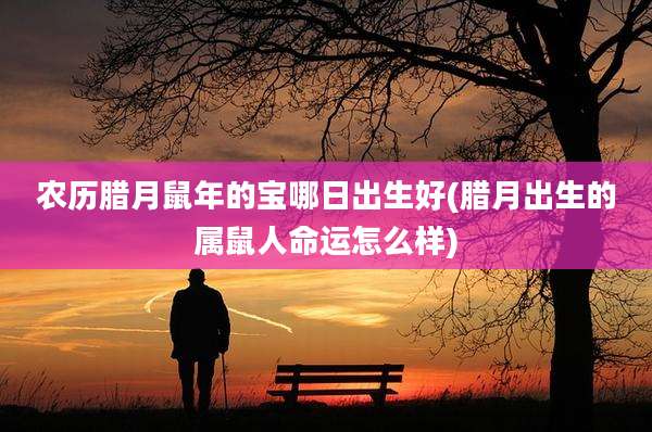 农历腊月鼠年的宝哪日出生好(腊月出生的属鼠人命运怎么样)