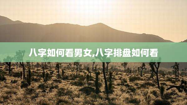 八字如何看男女,八字排盘如何看