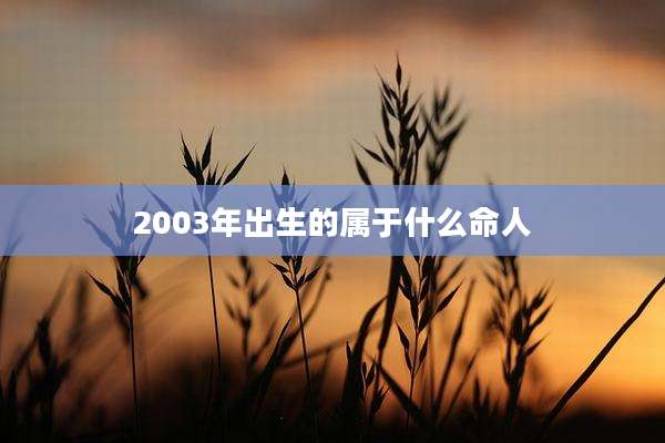 2003年出生的属于什么命人