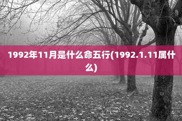 1992年11月是什么命五行(1992.1.11属什么)