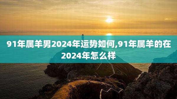 91年属羊男2024年运势如何,91年属羊的在2024年怎么样