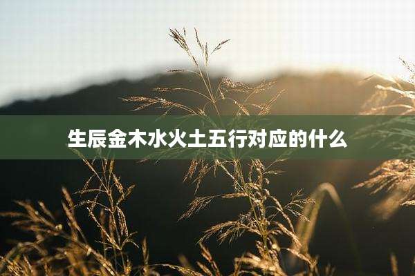 生辰金木水火土五行对应的什么