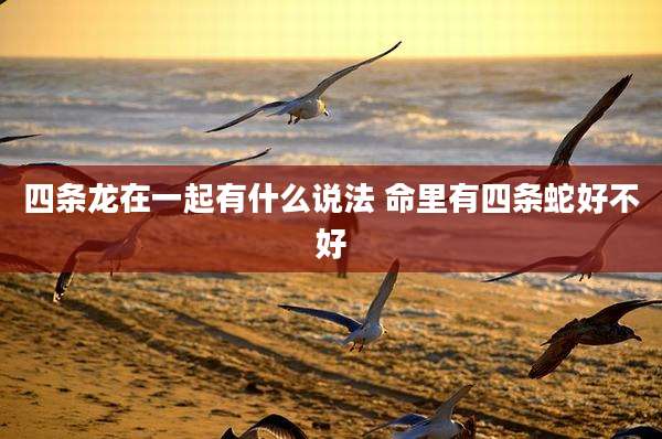 四条龙在一起有什么说法 命里有四条蛇好不好