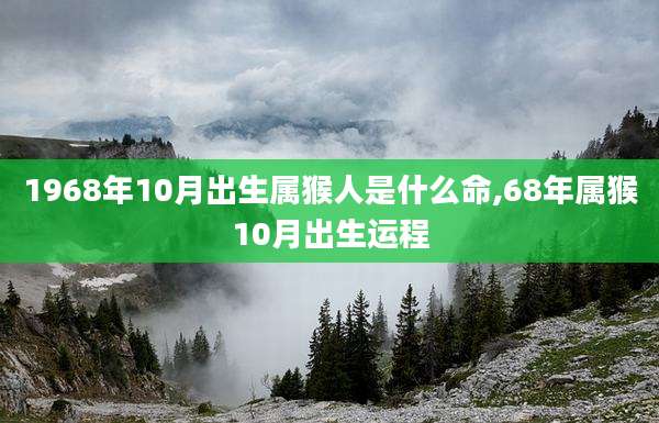 1968年10月出生属猴人是什么命,68年属猴10月出生运程