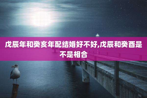 戊辰年和癸亥年配结婚好不好,戊辰和癸酉是不是相合