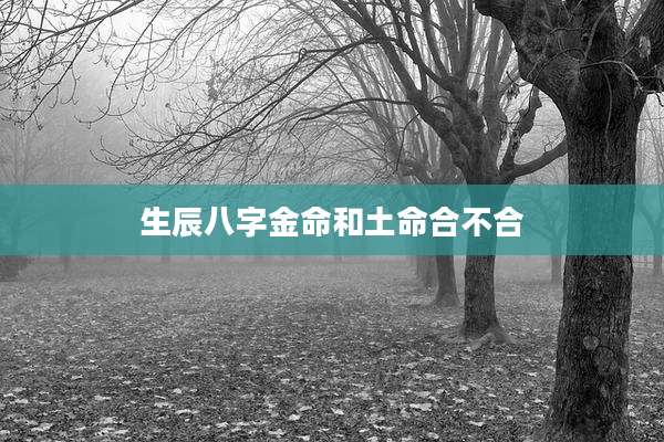 生辰八字金命和土命合不合