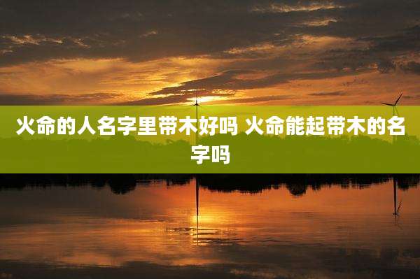 火命的人名字里带木好吗 火命能起带木的名字吗