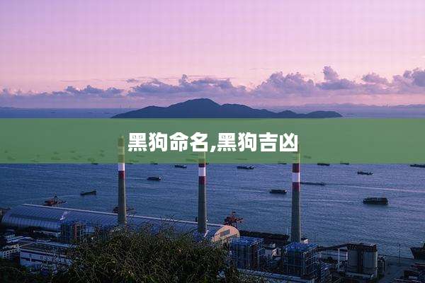 黑狗命名,黑狗吉凶