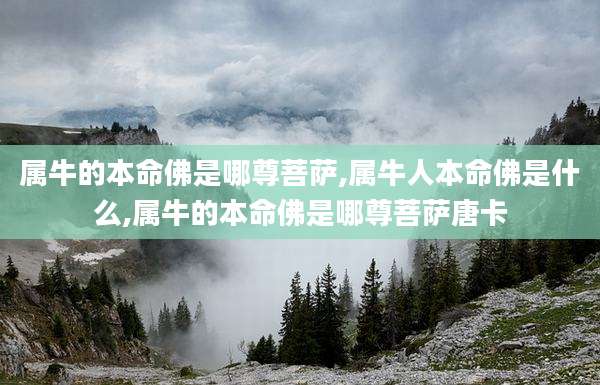 属牛的本命佛是哪尊菩萨,属牛人本命佛是什么,属牛的本命佛是哪尊菩萨唐卡