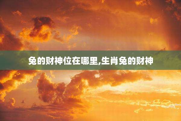 兔的财神位在哪里,生肖兔的财神