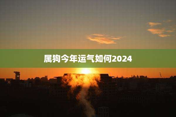 属狗今年运气如何2024