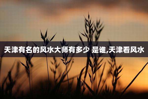 天津有名的风水大师有多少 是谁,天津看风水