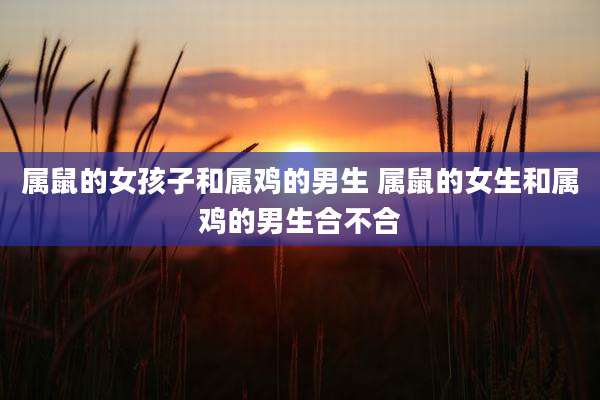 属鼠的女孩子和属鸡的男生 属鼠的女生和属鸡的男生合不合