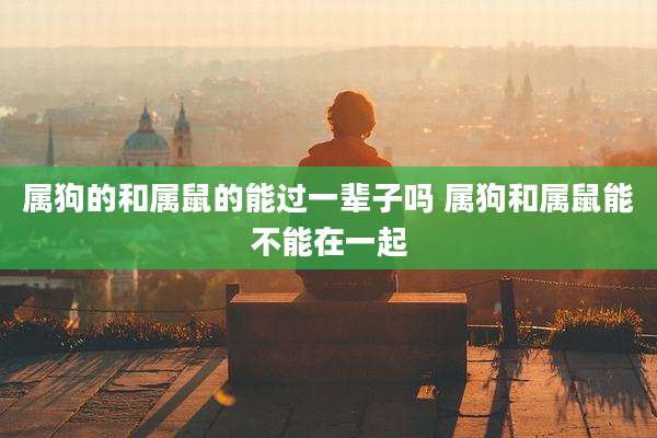 属狗的和属鼠的能过一辈子吗 属狗和属鼠能不能在一起