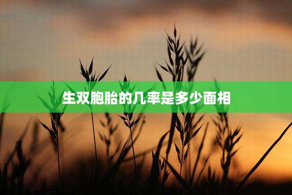 生双胞胎的几率是多少面相