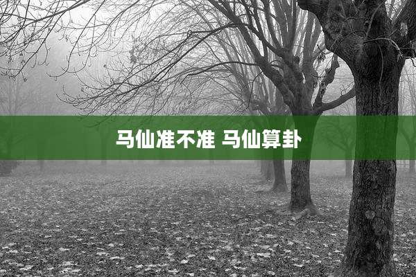 马仙准不准 马仙算卦