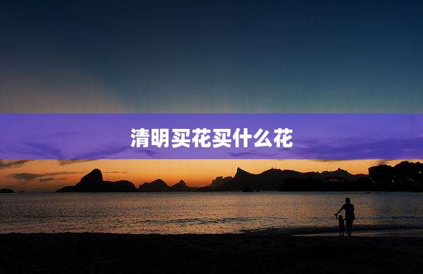 清明买花买什么花
