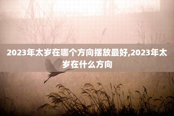 2023年太岁在哪个方向摆放最好,2023年太岁在什么方向