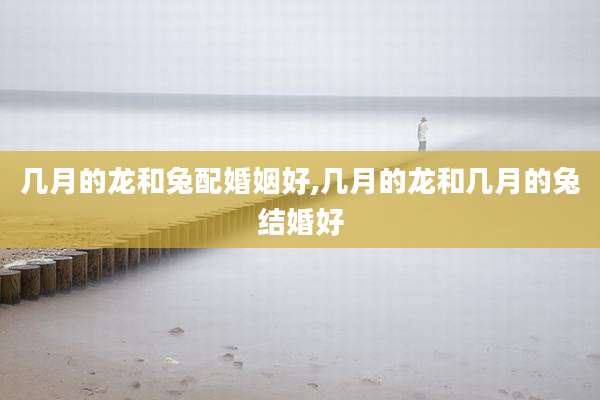 几月的龙和兔配婚姻好,几月的龙和几月的兔结婚好