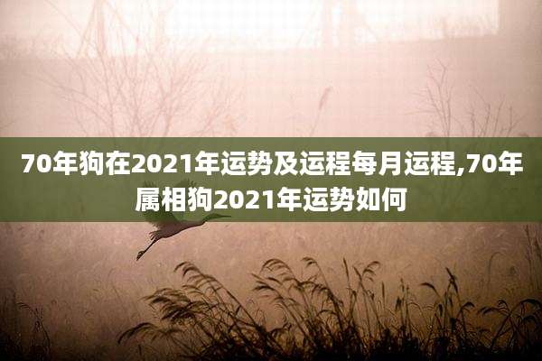70年狗在2021年运势及运程每月运程,70年属相狗2021年运势如何