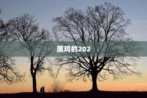 属鸡的202