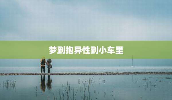 梦到抱异性到小车里