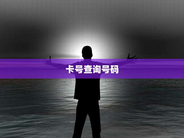 卡号查询号码