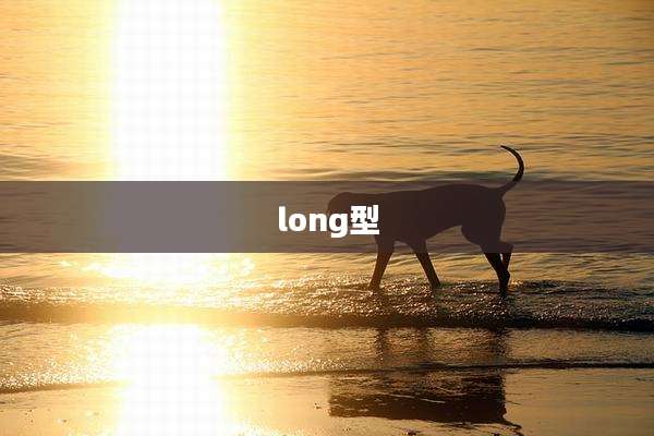 long型