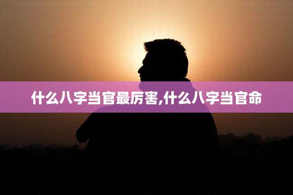 什么八字当官最厉害,什么八字当官命