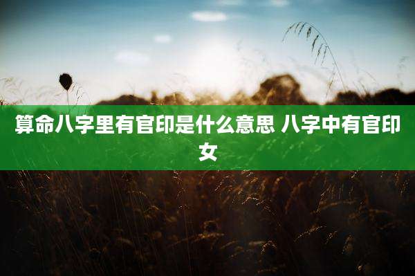 算命八字里有官印是什么意思 八字中有官印女