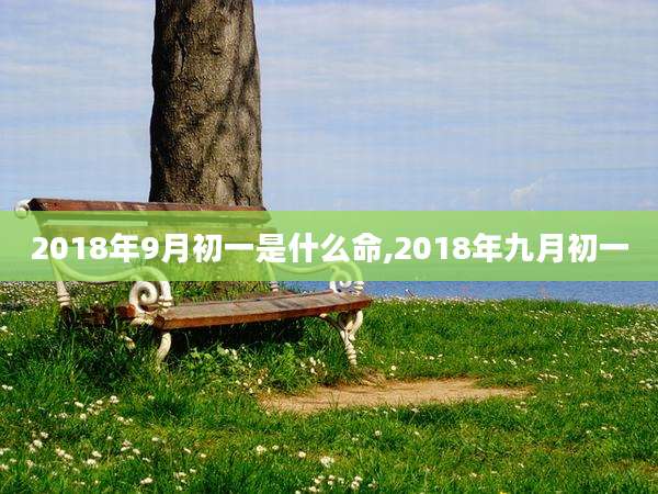 2018年9月初一是什么命,2018年九月初一
