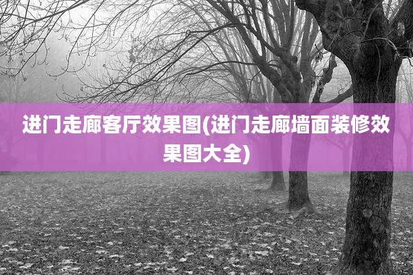 进门走廊客厅效果图(进门走廊墙面装修效果图大全)