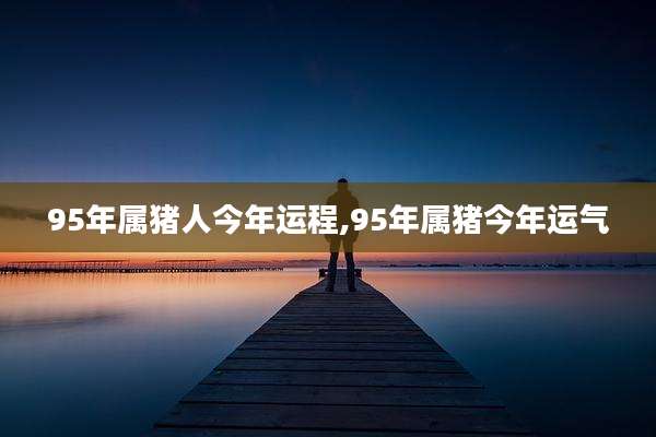 95年属猪人今年运程,95年属猪今年运气