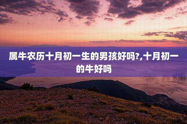 属牛农历十月初一生的男孩好吗?,十月初一的牛好吗