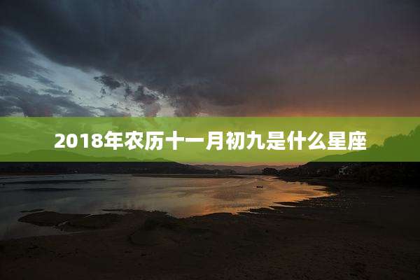 2018年农历十一月初九是什么星座