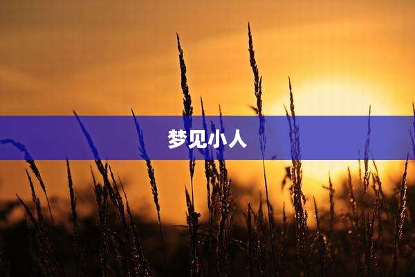 梦见小人