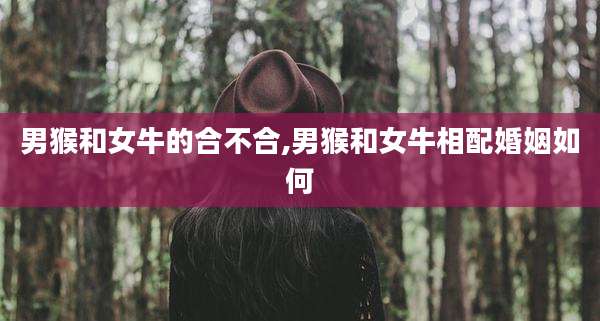 男猴和女牛的合不合,男猴和女牛相配婚姻如何