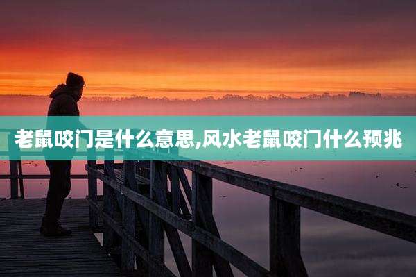老鼠咬门是什么意思,风水老鼠咬门什么预兆