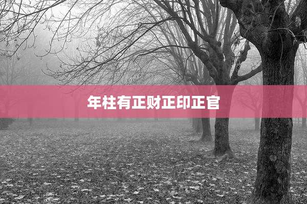 年柱有正财正印正官