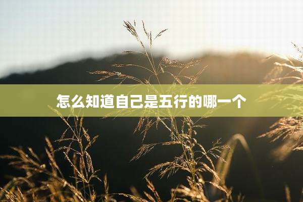 怎么知道自己是五行的哪一个