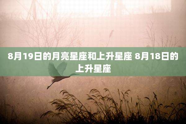 8月19日的月亮星座和上升星座 8月18日的上升星座