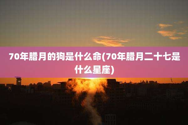 70年腊月的狗是什么命(70年腊月二十七是什么星座)
