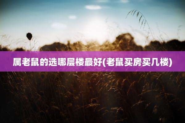 属老鼠的选哪层楼最好(老鼠买房买几楼)