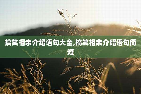 搞笑相亲介绍语句大全,搞笑相亲介绍语句简短