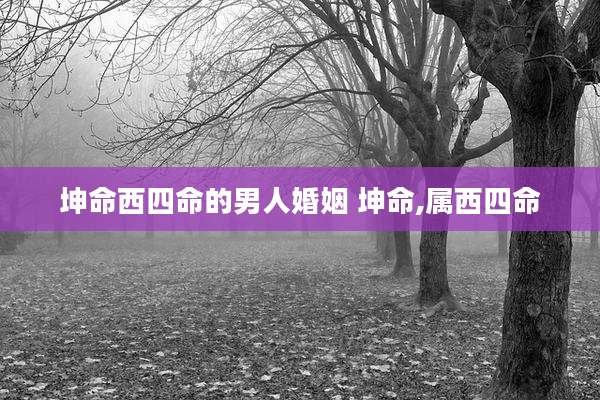 坤命西四命的男人婚姻 坤命,属西四命