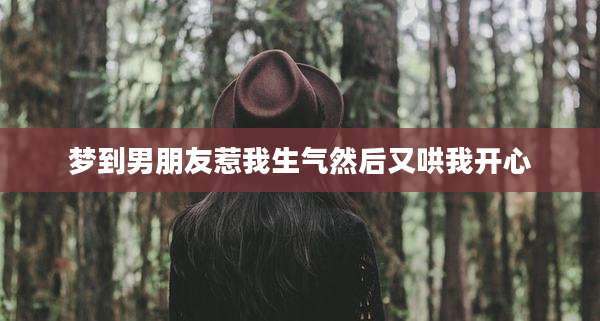 梦到男朋友惹我生气然后又哄我开心