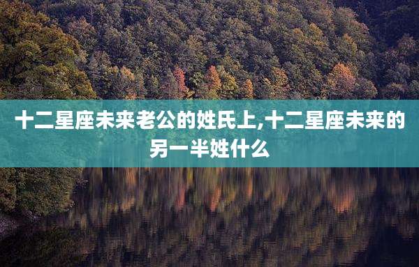 十二星座未来老公的姓氏上,十二星座未来的另一半姓什么