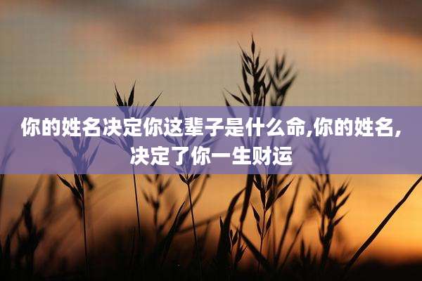 你的姓名决定你这辈子是什么命,你的姓名,决定了你一生财运